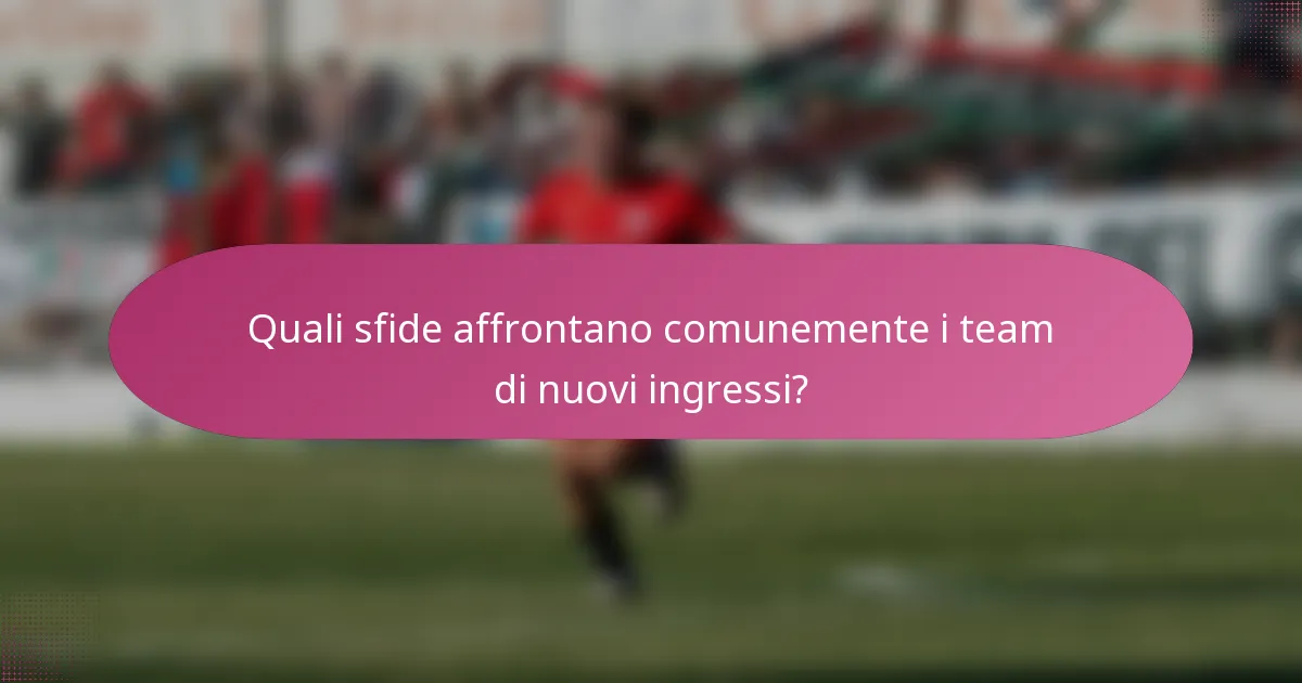 Quali sfide affrontano comunemente i team di nuovi ingressi?